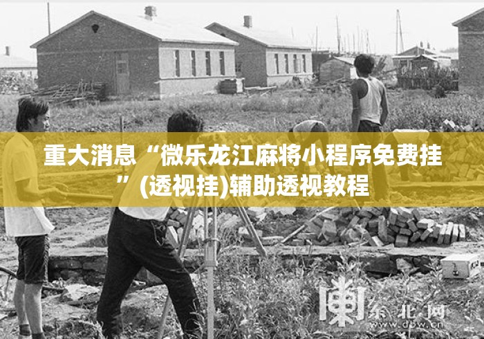 重大消息“微乐龙江麻将小程序免费挂”(透视挂)辅助透视教程