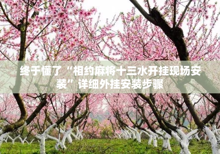 终于懂了“相约麻将十三水开挂现场安装”详细外挂安装步骤