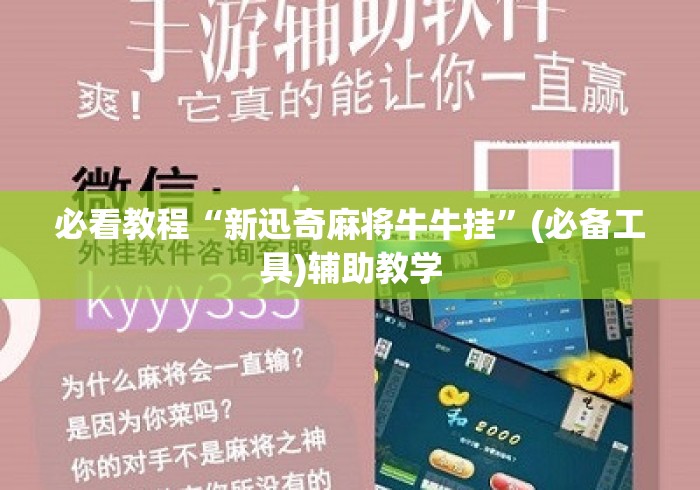 必看教程“新迅奇麻将牛牛挂”(必备工具)辅助教学