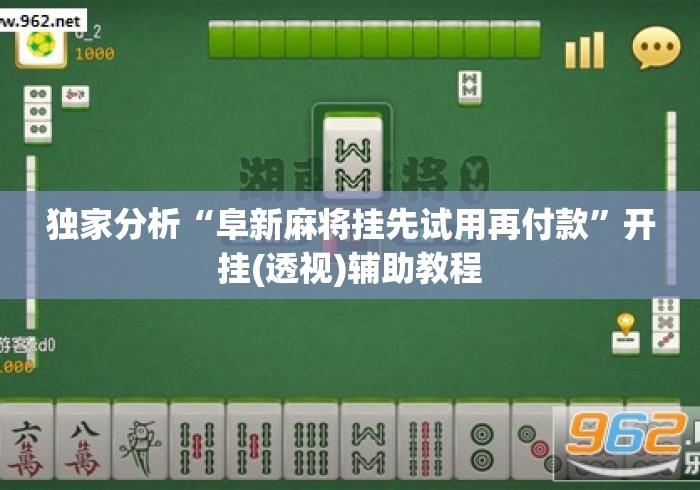 独家分析“阜新麻将挂先试用再付款”开挂(透视)辅助教程