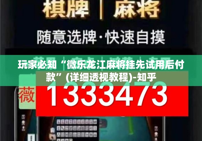 玩家必知“微乐龙江麻将挂先试用后付款”(详细透视教程)-知乎