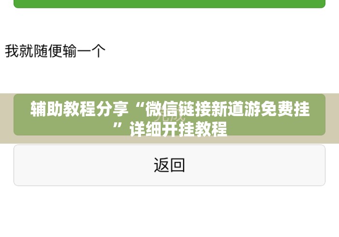 辅助教程分享“微信链接新道游免费挂”详细开挂教程