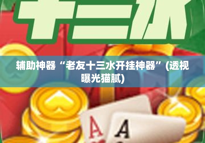 辅助神器“老友十三水开挂神器”(透视曝光猫腻)