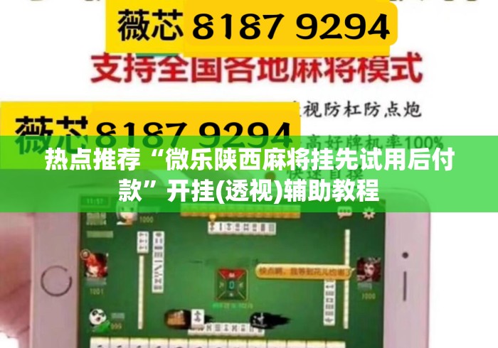 热点推荐“微乐陕西麻将挂先试用后付款”开挂(透视)辅助教程