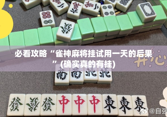 必看攻略“雀神麻将挂试用一天的后果”(确实真的有挂)
