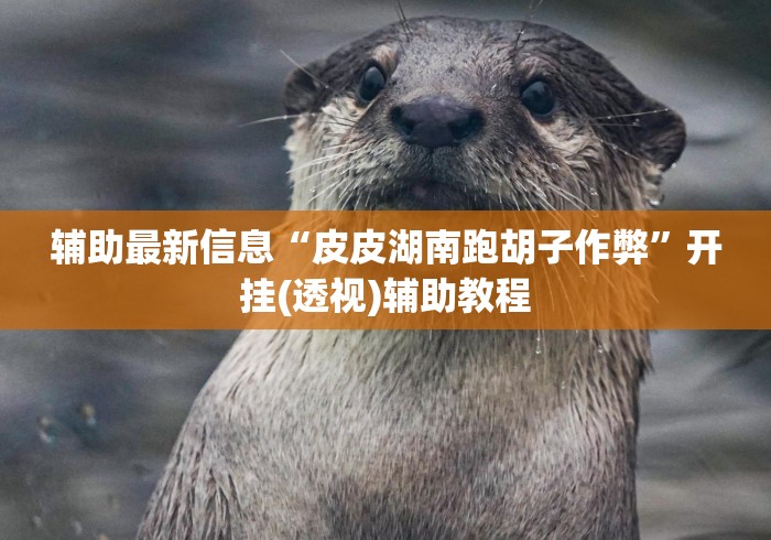 辅助最新信息“皮皮湖南跑胡子作弊”开挂(透视)辅助教程