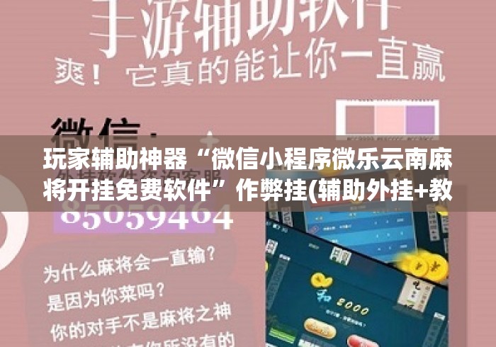 玩家辅助神器“微信小程序微乐云南麻将开挂免费软件”作弊挂(辅助外挂+教程)