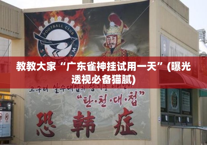 教教大家“广东雀神挂试用一天”(曝光透视必备猫腻)