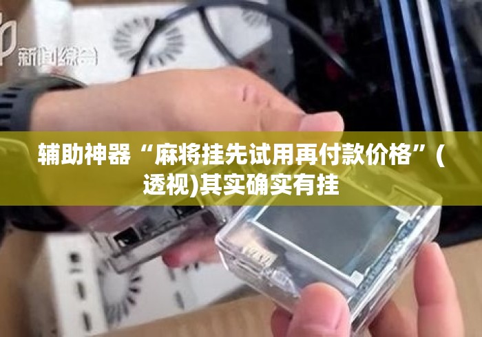 辅助神器“麻将挂先试用再付款价格”(透视)其实确实有挂