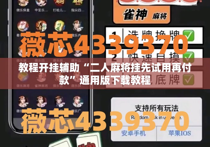 教程开挂辅助“二人麻将挂先试用再付款”通用版下载教程