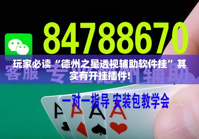 玩家必读“德州之星透视辅助软件挂	”其实有开挂插件!