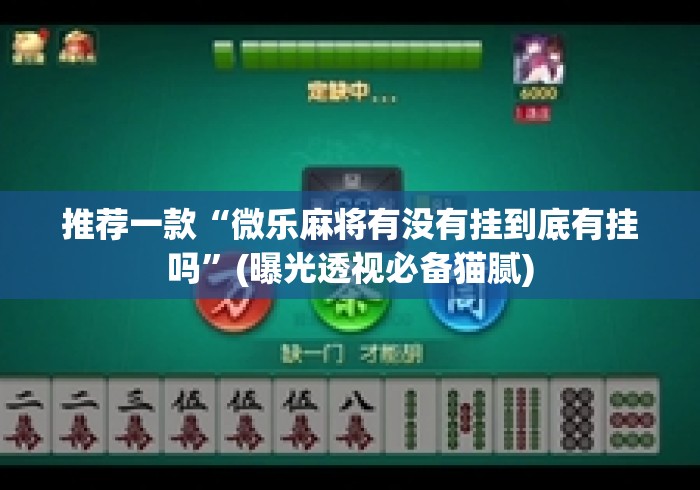 推荐一款“微乐麻将有没有挂到底有挂吗”(曝光透视必备猫腻)