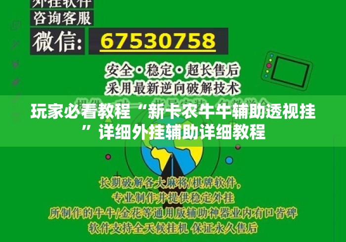 玩家必看教程“新卡农牛牛辅助透视挂”详细外挂辅助详细教程