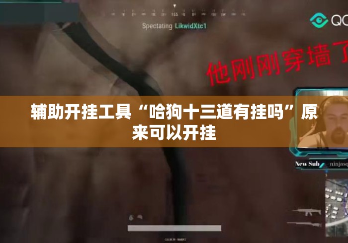 辅助开挂工具“哈狗十三道有挂吗”原来可以开挂