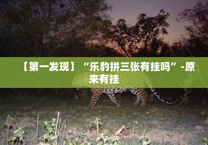 【第一发现】“乐豹拼三张有挂吗”-原来有挂