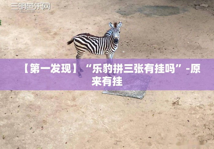 【第一发现】“乐豹拼三张有挂吗	”-原来有挂