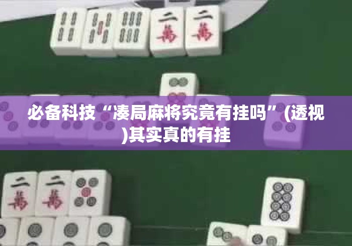 必备科技“凑局麻将究竟有挂吗”(透视)其实真的有挂