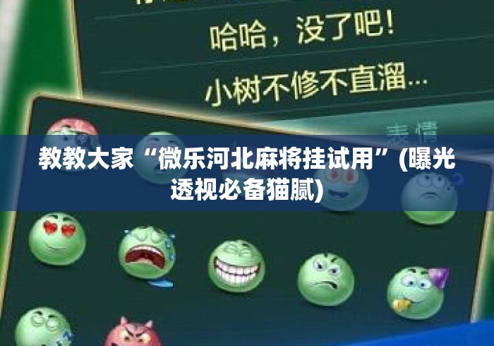 教教大家“微乐河北麻将挂试用”(曝光透视必备猫腻)