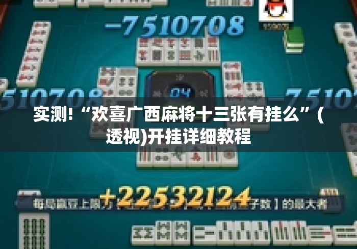 实测!“欢喜广西麻将十三张有挂么”(透视)开挂详细教程
