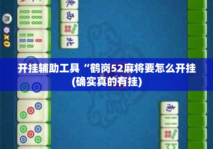 开挂辅助工具“鹤岗52麻将要怎么开挂(确实真的有挂) 开挂辅助工具“鹤岗52麻将要怎么开挂(确实真的有挂)