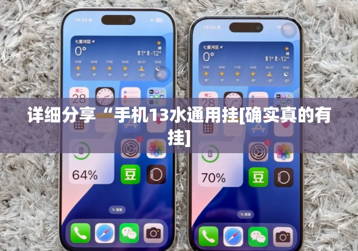 详细分享“手机13水通用挂[确实真的有挂]