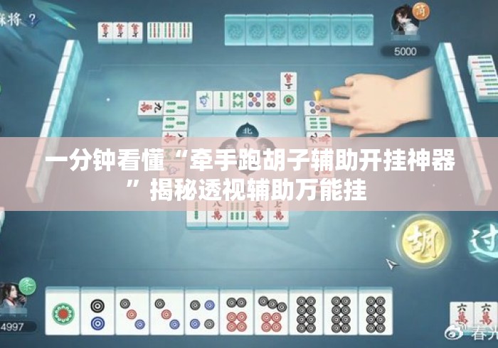 一分钟看懂“牵手跑胡子辅助开挂神器”揭秘透视辅助万能挂 
