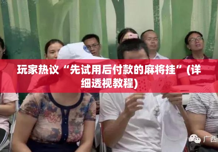 玩家热议“先试用后付款的麻将挂”(详细透视教程)