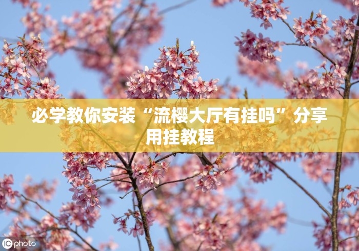 必学教你安装“流樱大厅有挂吗”分享用挂教程