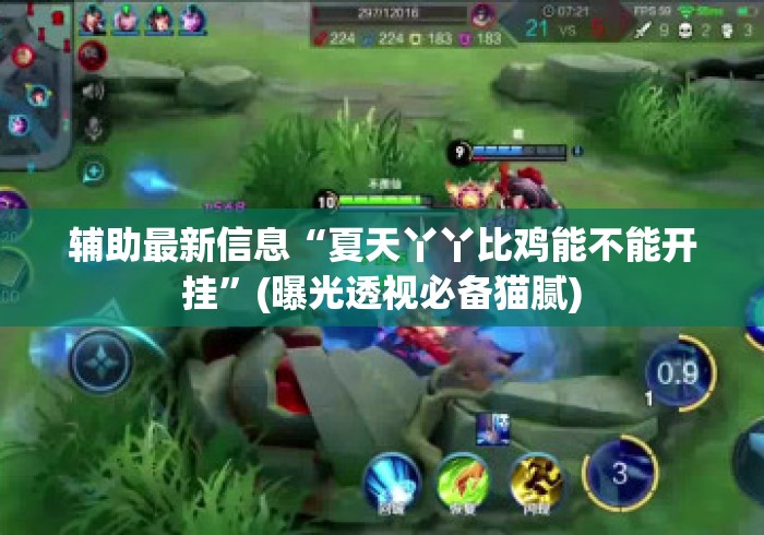 辅助最新信息“夏天丫丫比鸡能不能开挂”(曝光透视必备猫腻)