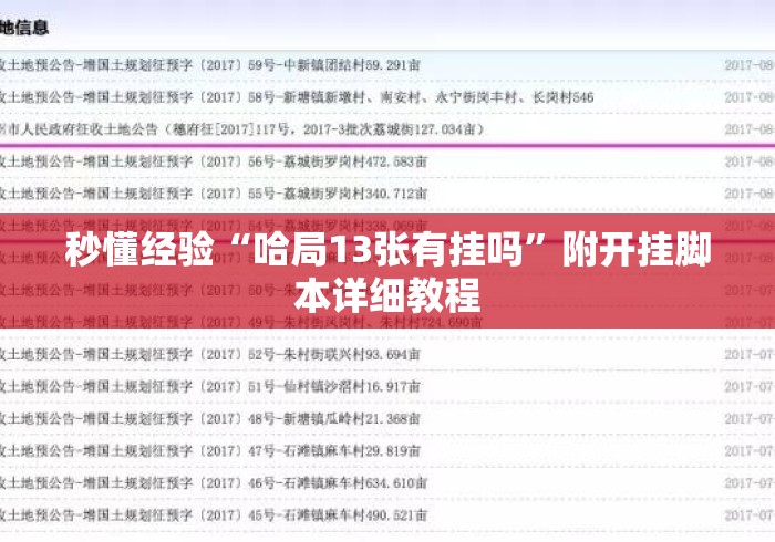秒懂经验“哈局13张有挂吗”附开挂脚本详细教程