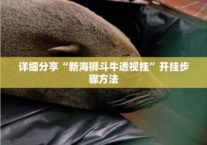 详细分享“新海狮斗牛透视挂”开挂步骤方法