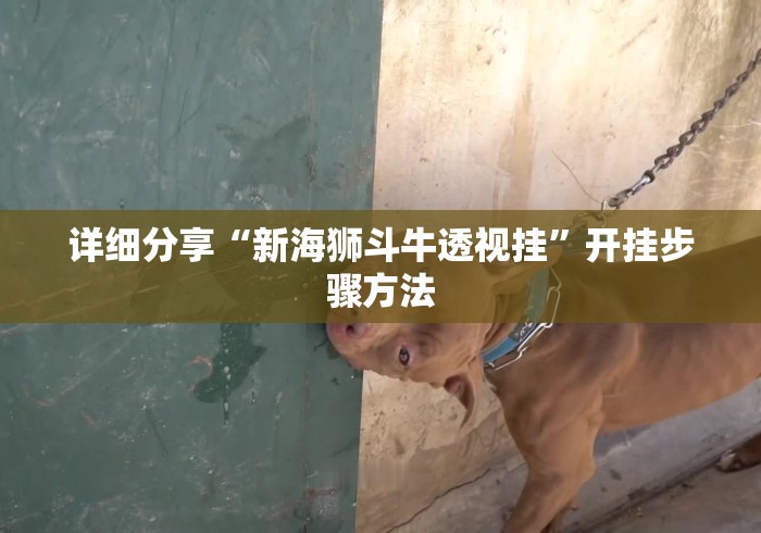 详细分享“新海狮斗牛透视挂”开挂步骤方法