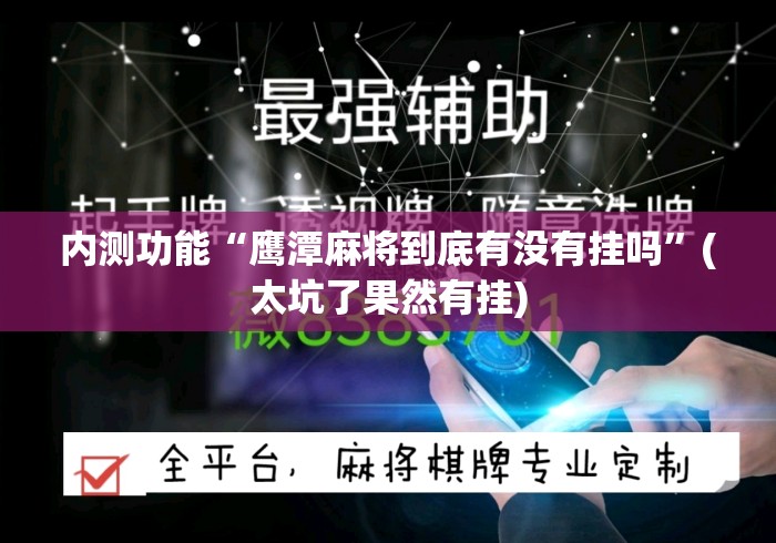 内测功能“鹰潭麻将到底有没有挂吗”(太坑了果然有挂)