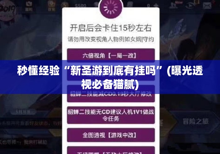 秒懂经验“新圣游到底有挂吗”(曝光透视必备猫腻)