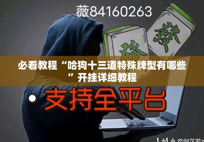 必看教程“哈狗十三道特殊牌型有哪些”开挂详细教程