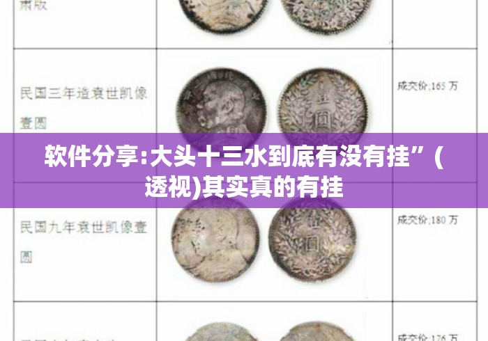 软件分享:大头十三水到底有没有挂”(透视)其实真的有挂
