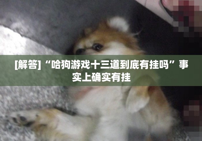 [解答]“哈狗游戏十三道到底有挂吗”事实上确实有挂