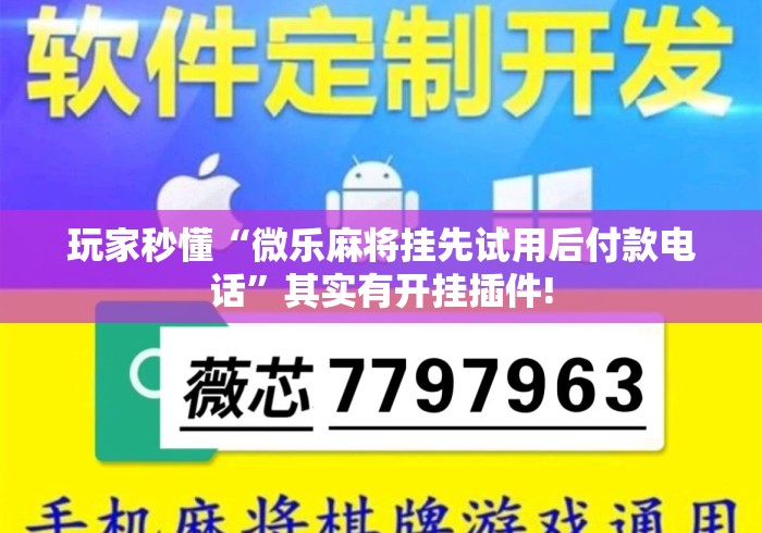 玩家秒懂“微乐麻将挂先试用后付款电话”其实有开挂插件!