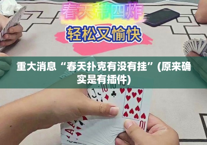 重大消息“春天扑克有没有挂”(原来确实是有插件)