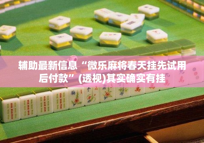 辅助最新信息“微乐麻将春天挂先试用后付款”(透视)其实确实有挂