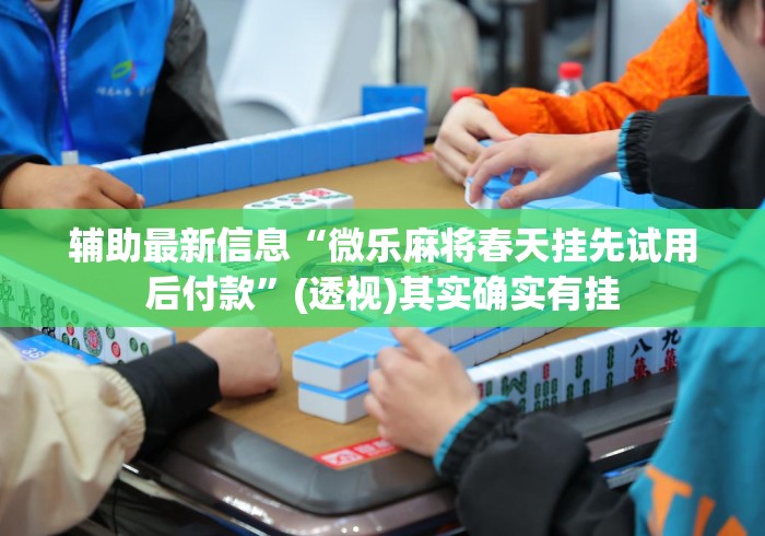 辅助最新信息“微乐麻将春天挂先试用后付款”(透视)其实确实有挂