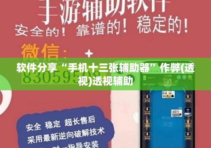 软件分享“手机十三张辅助器”作弊(透视)透视辅助