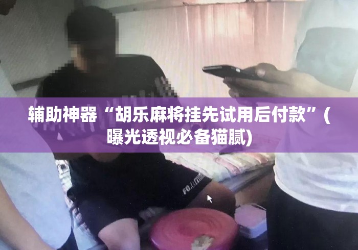 辅助神器“胡乐麻将挂先试用后付款	”(曝光透视必备猫腻)