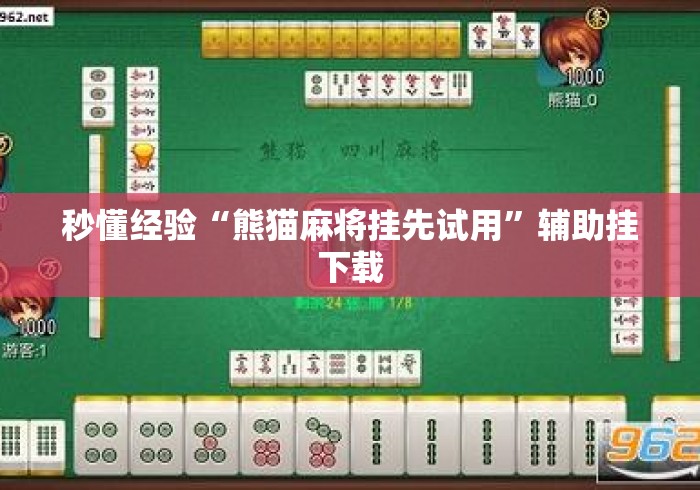 秒懂经验“熊猫麻将挂先试用”辅助挂下载