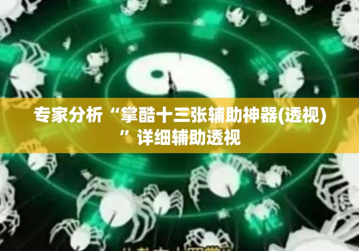 专家分析“掌酷十三张辅助神器(透视)	”详细辅助透视
