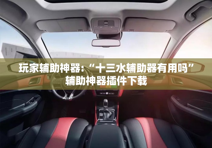 玩家辅助神器:“十三水辅助器有用吗”辅助神器插件下载