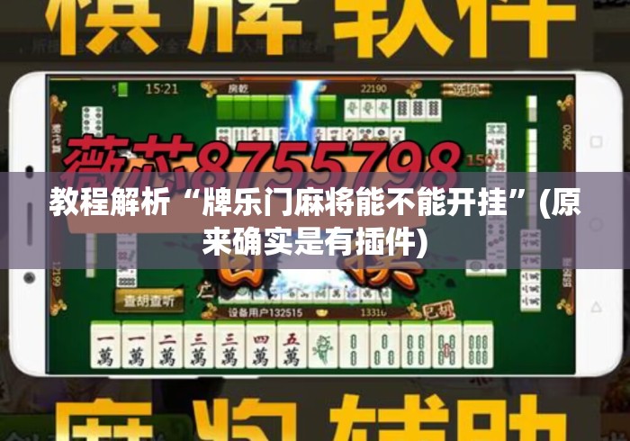 教程解析“牌乐门麻将能不能开挂”(原来确实是有插件)