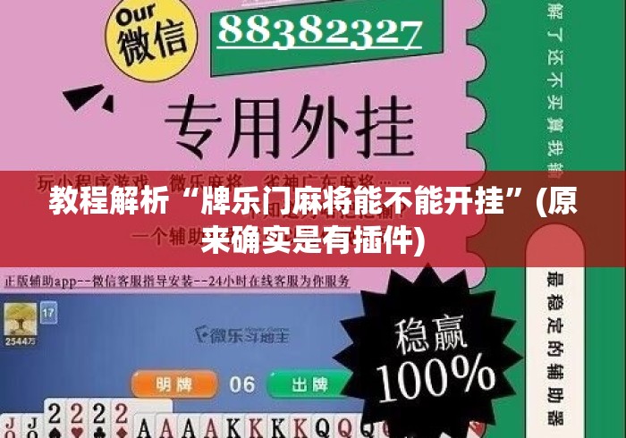 教程解析“牌乐门麻将能不能开挂”(原来确实是有插件)