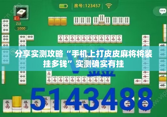 分享实测攻略“手机上打皮皮麻将将装挂多钱	”实测确实有挂