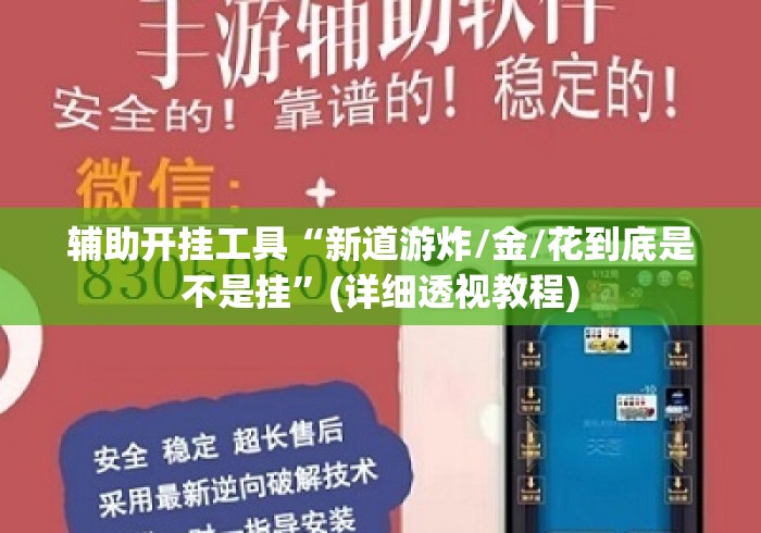 辅助开挂工具“新道游炸/金/花到底是不是挂”(详细透视教程)